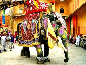 http://en.wikipedia.org/wiki/File:Decorated_Indian_elephant.jpg