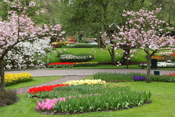 http://www.publicdomainpictures.net/view-image.php?image=6808&picture=spring-garden