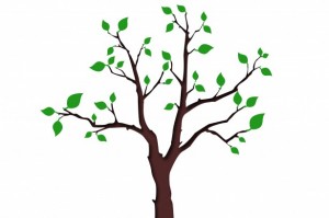 http://www.publicdomainpictures.net/view-image.php?image=43500&picture=tree-with-green-leafage