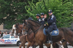 http://www.publicdomainpictures.net/view-image.php?image=3286&picture=horse-patrol&large=1