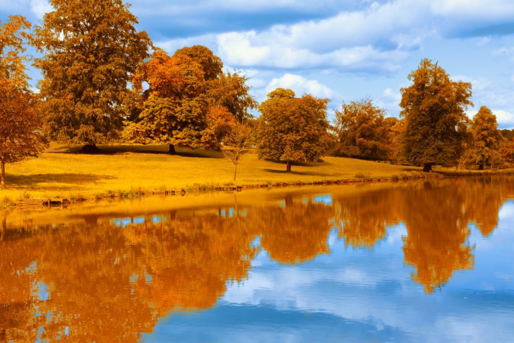 https://www.publicdomainpictures.net/en/view-image.php?image=97656&picture=autumn-by-the-lake